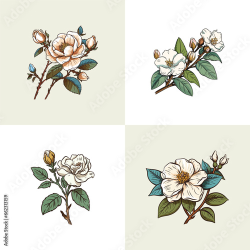 noisette rose vector clip art illustration