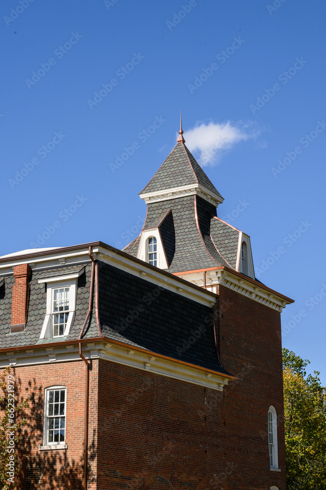 historic victorian roof against skyline