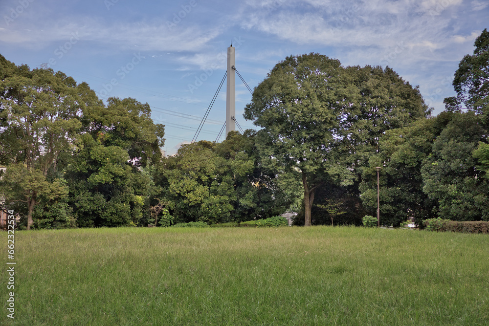 Obraz premium 橋と公園
