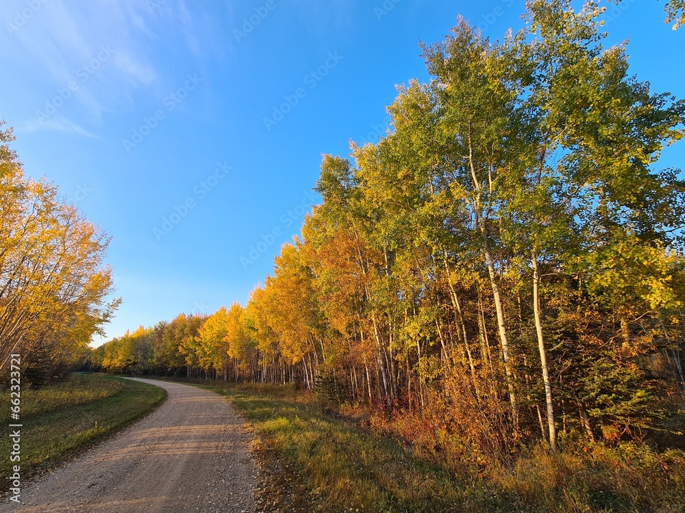 Herbst Farben 