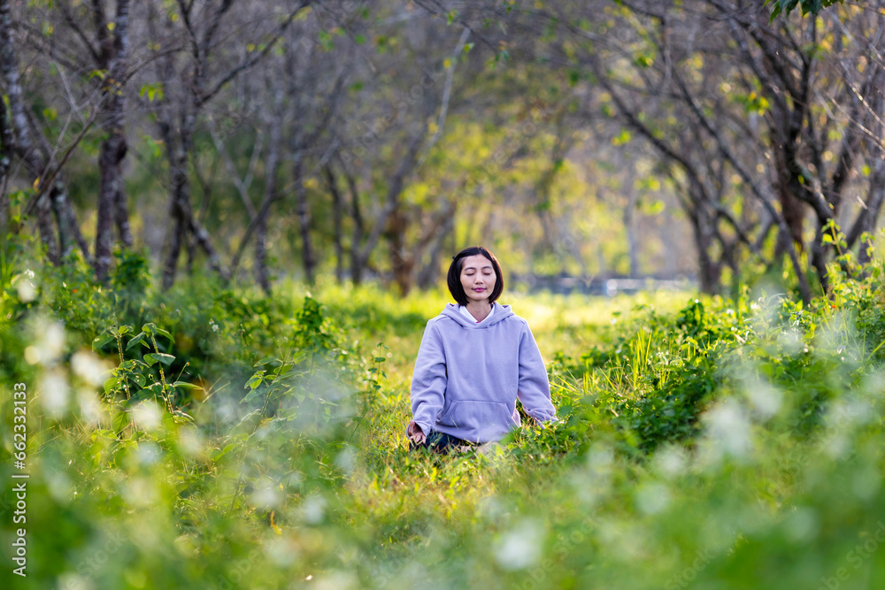 Asian woman is relaxingly practicing meditation yoga in the forest full of daisy flower in summer to attain happiness from inner peace wisdom with morning light for healthy mind and soul concept Asian woman is relaxingly practicing meditation yoga in the forest full of daisy flower in summer to attain happiness from inner peace wisdom with morning light for healthy mind and soul concept