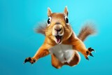 Happy squirrel jumping and having fun.