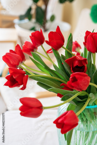 Bouquet of red tulips, spri...