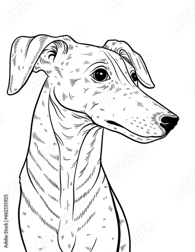 Line art coloring page of a 