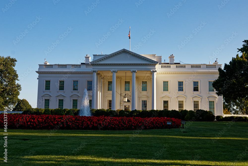 Naklejka premium the palace of the president