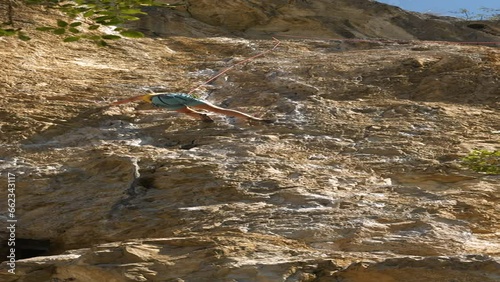 LOW ANGLE VIEW: Female climber is top rope climbing a rugged technical route. She is looking for a good grip to advance. Beautiful sunny day for adrenaline sport activities in rocky Karst landscape. photo