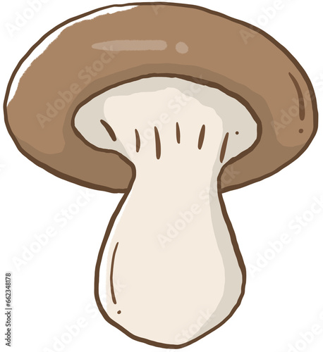 illustration of a mushroom photo