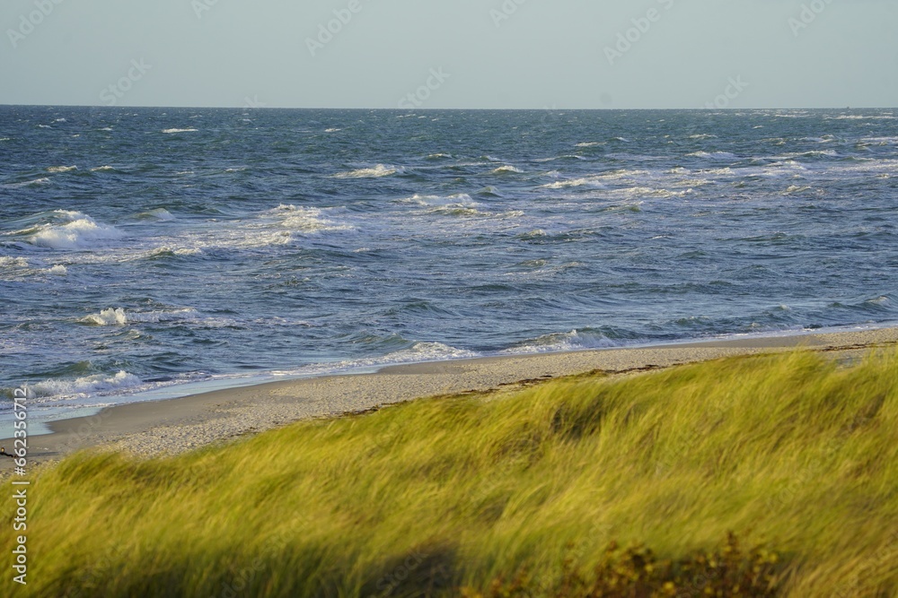 Landscape on the Baltic Sea near Zingst, Germany.