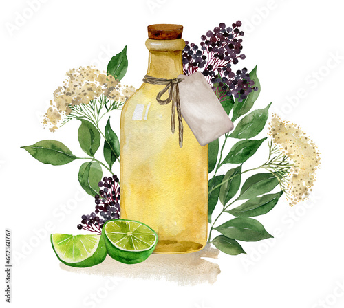 Elderberry, elderflowers tea, syrup, juice. Home grown medicinal plant, apothecary ingredient, healthy organic food illustration. Recipe card, print, broshure, menu, poster, summer party invitation