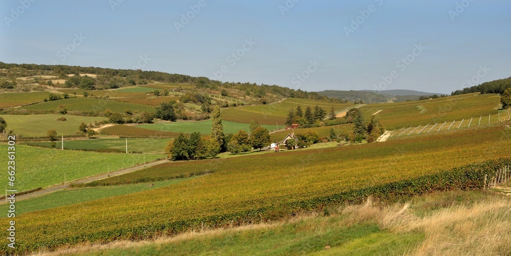 Panorama de vignes en Bourgogne.