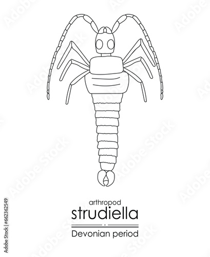 Strudiella, a Devonian period arthropod, but possible an insect, black and white line art illustration. Ideal for both coloring and educational purposes