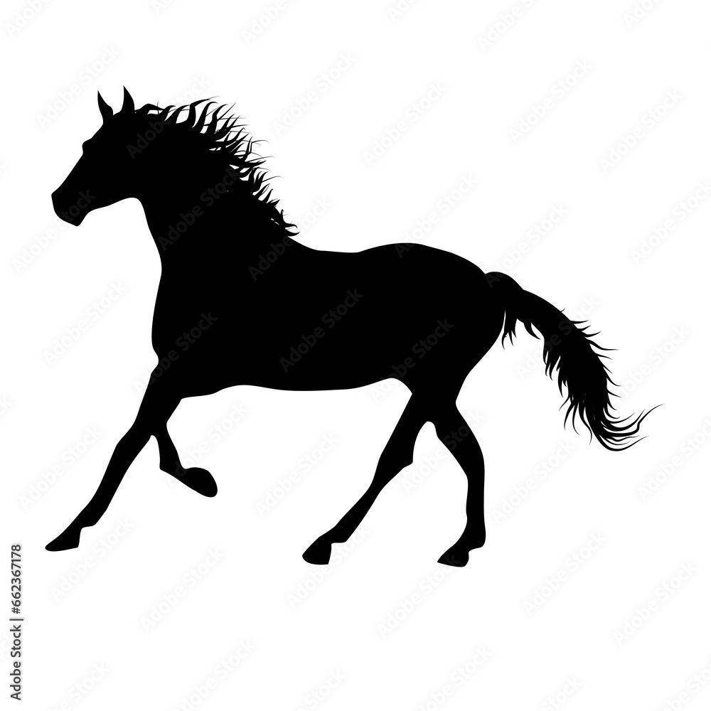 silhouette of a horse