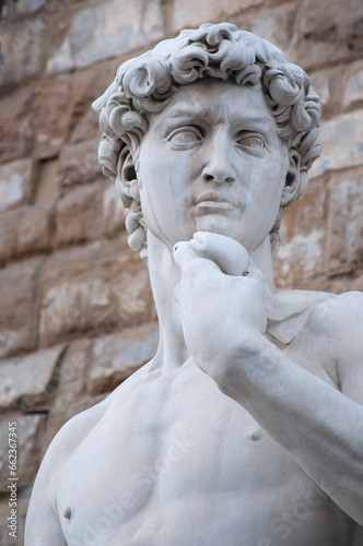 Head of a famous statue by Michelangelo - David, Florence