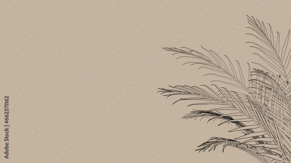 Illustration of growing palm leaves. Pencil drawing. Stylized sketch illustration.