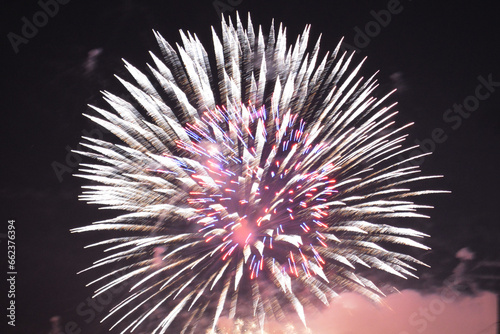 Fireworks Celebration Display New Year's Eve