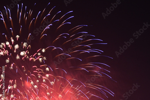 Fireworks Celebration Display New Year's Eve