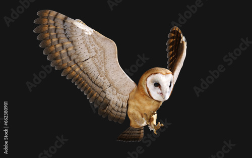 3d Illustration of a barn owl poses isolated on a black background with clipping path.
