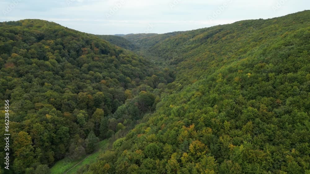 Autumn forest with a valley Autumn forest with a valley