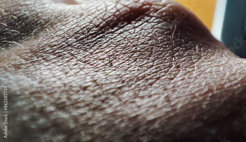  Close-up shot of a male hand revealing intricate skin texture details. photo