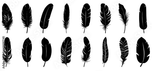 Feather black icon. Feather icons set. Various feathers.