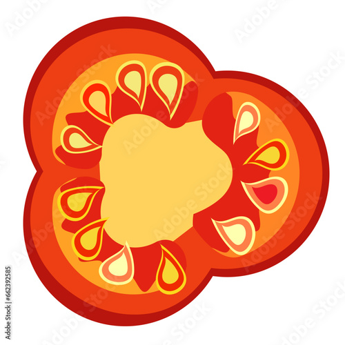 Tomato. Ingredients for pizza. Tomato inside, tomato slice. Red tomato. Vector drawing. Doodle for salad, Pizzeria and cafe.