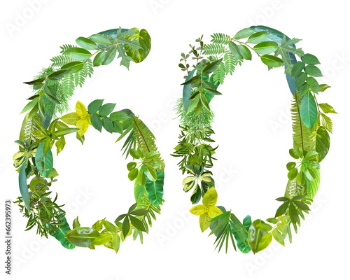 The shape of the number 60 is made of various kinds of leaves isolated on transparent background. suitable for birthday, anniversary and memorial day templates