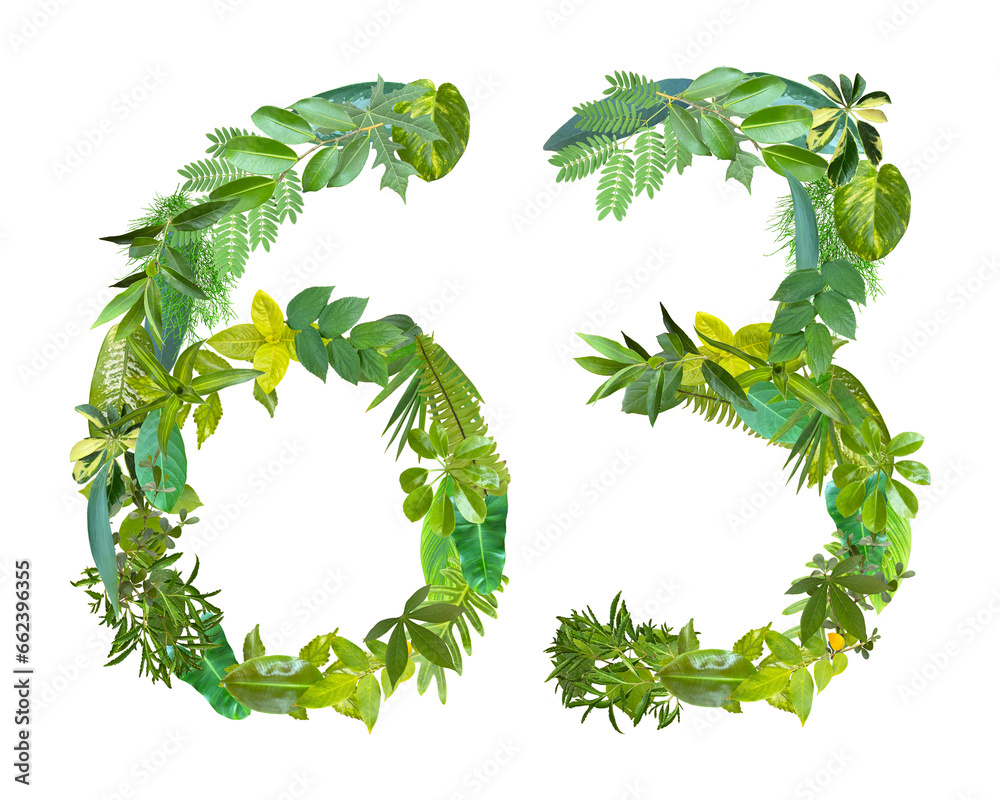 The shape of the number 63 is made of various kinds of leaves isolated ...