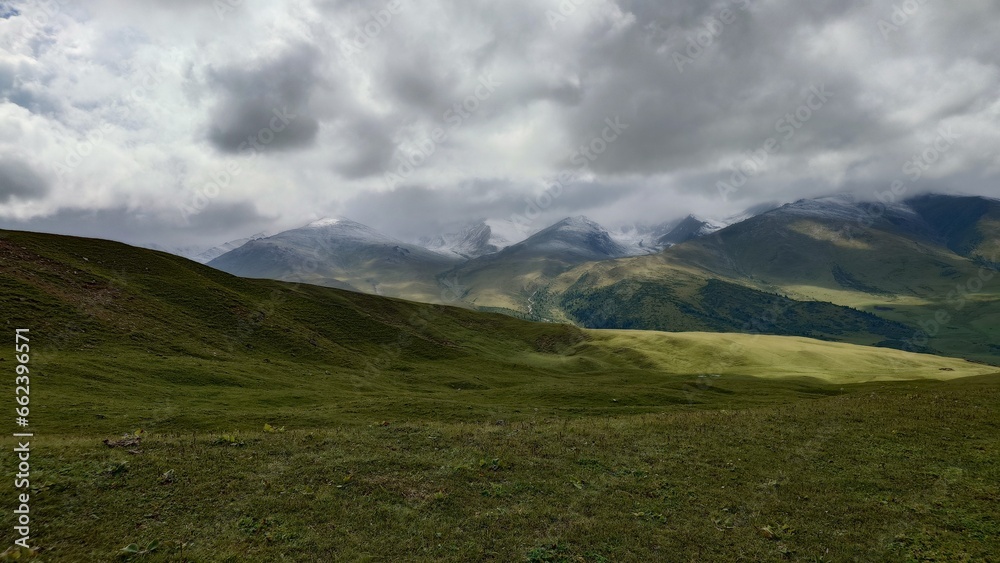Green endless fields with views of snow peaks and clouds. White-gray clouds leave shadows on the hills. The gorge and coniferous forests are visible in the distance. Snowy mountains and green grass