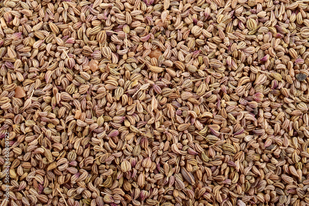 Texture of carom seeds or ajwain, indian spice Texture of carom seeds or ajwain, indian spice