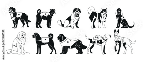 Black And White Avalanche Rescue Dogs Isolated Set. Trained Canines Deployed To Locate And Rescue Avalanche Victims