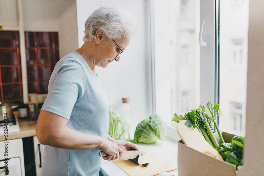 Side view indoor portrait of senior female vegetarian chopping or slicing aubergine on cutting board at counter on windowsill at kitchen, preparing healthy organic delicious dinner Side view indoor portrait of senior female vegetarian chopping or slicing aubergine on cutting board at counter on windowsill at kitchen, preparing healthy organic delicious dinner