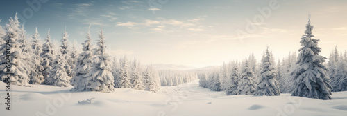 Winter snow christmas trees © jfStock
