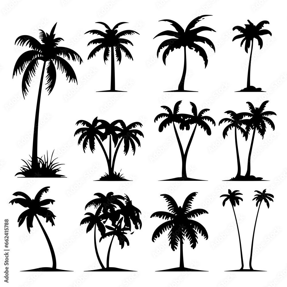 palm tree silhouettes