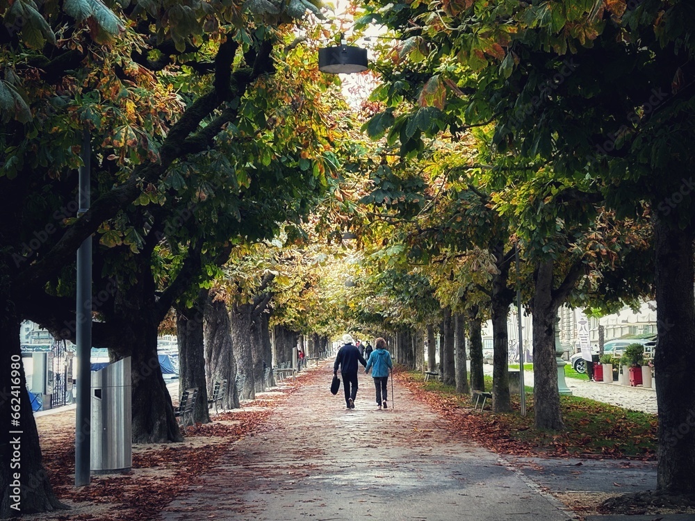 couple walking in the park autumn