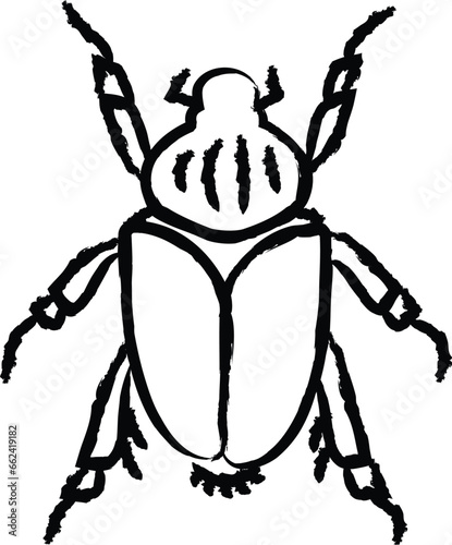 Goliath beetle hand drawn vector illustration