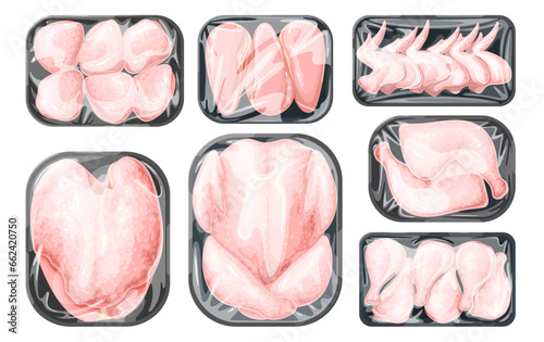 Chicken raw parts in plastic trays set vector illustration. Cartoon isolated frozen or fresh chilled chicken breasts, wings and legs, whole carcass of poultry in supermarket polystyrene packages