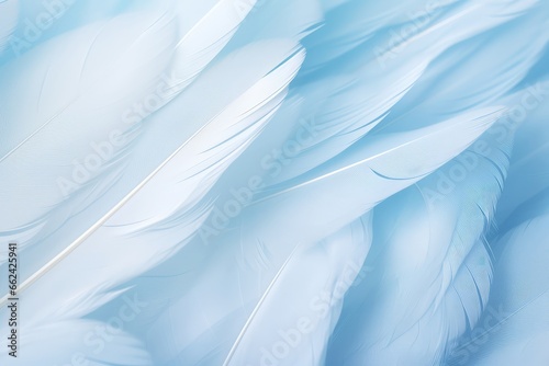 Closeup View Of Airy, Soft, Fluffy Bird Wing With White Feathers In Pastel Blue Shades, Set Against White Background, Creating Abstract Gentle Natural Background