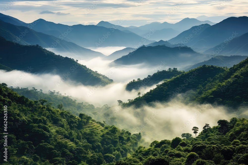 Foggy Jungle Landscape With Clouds Shrouding The Tropical Valley And Mountains, Viewed From Above