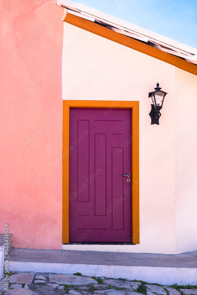 Fototapeta premium door in the house