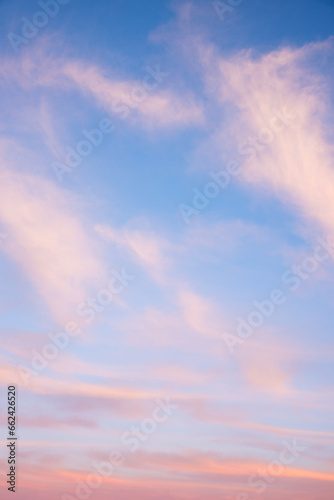 Sticker evening sky with soft pastel clouds, vertical shot