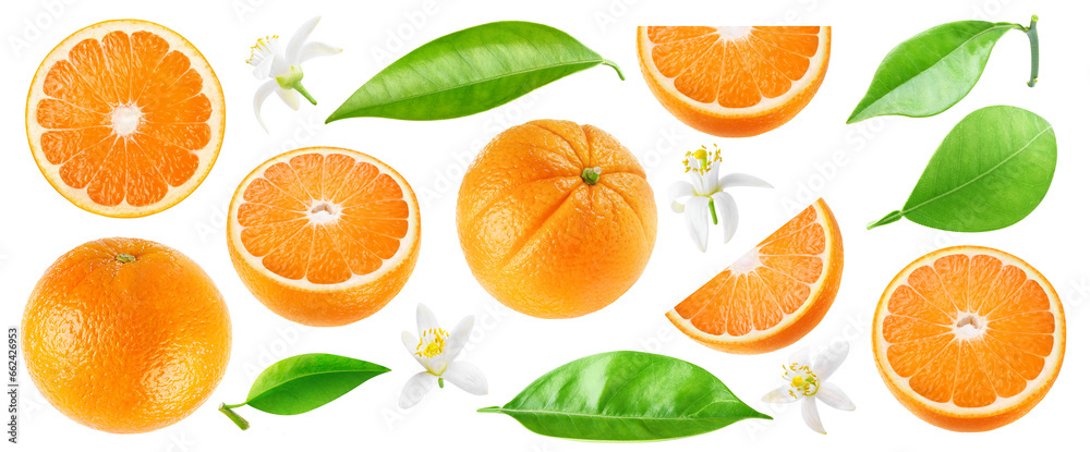 Collection of cut orange fruits, leaves and flowers, cut out - obrazy, fototapety, plakaty 