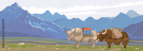 Himalayan yaks with a load on their back in a beautiful landscape. Vector illustration, flat style. Mountain horizontal landscape of Nepal. Pets in Mongolia and Tibet for transporting goods.