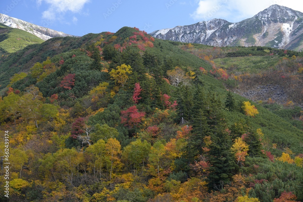Hokkaido, Japan - October 11, 2023: Autumn leaves at Mt. Tokachi in Hokkaido, Japan

