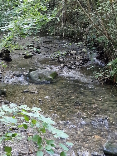 art, nature, graffiti, terre, verdure, couleur, oeuvre