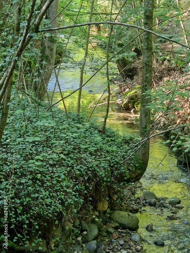 art, nature, graffiti, terre, verdure, couleur, oeuvre