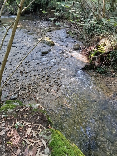 art, nature, graffiti, terre, verdure, couleur, oeuvre