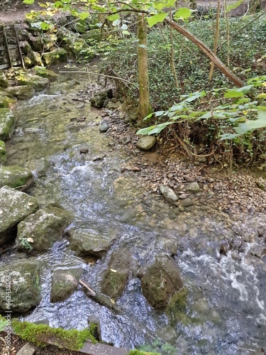 art, nature, graffiti, terre, verdure, couleur, oeuvre