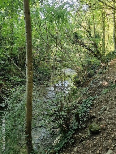 art, nature, graffiti, terre, verdure, couleur, oeuvre