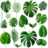 Set of tropical leaves, exotic plants,
 generative ai
