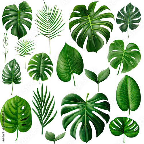 Set of tropical leaves, exotic plants, generative ai 